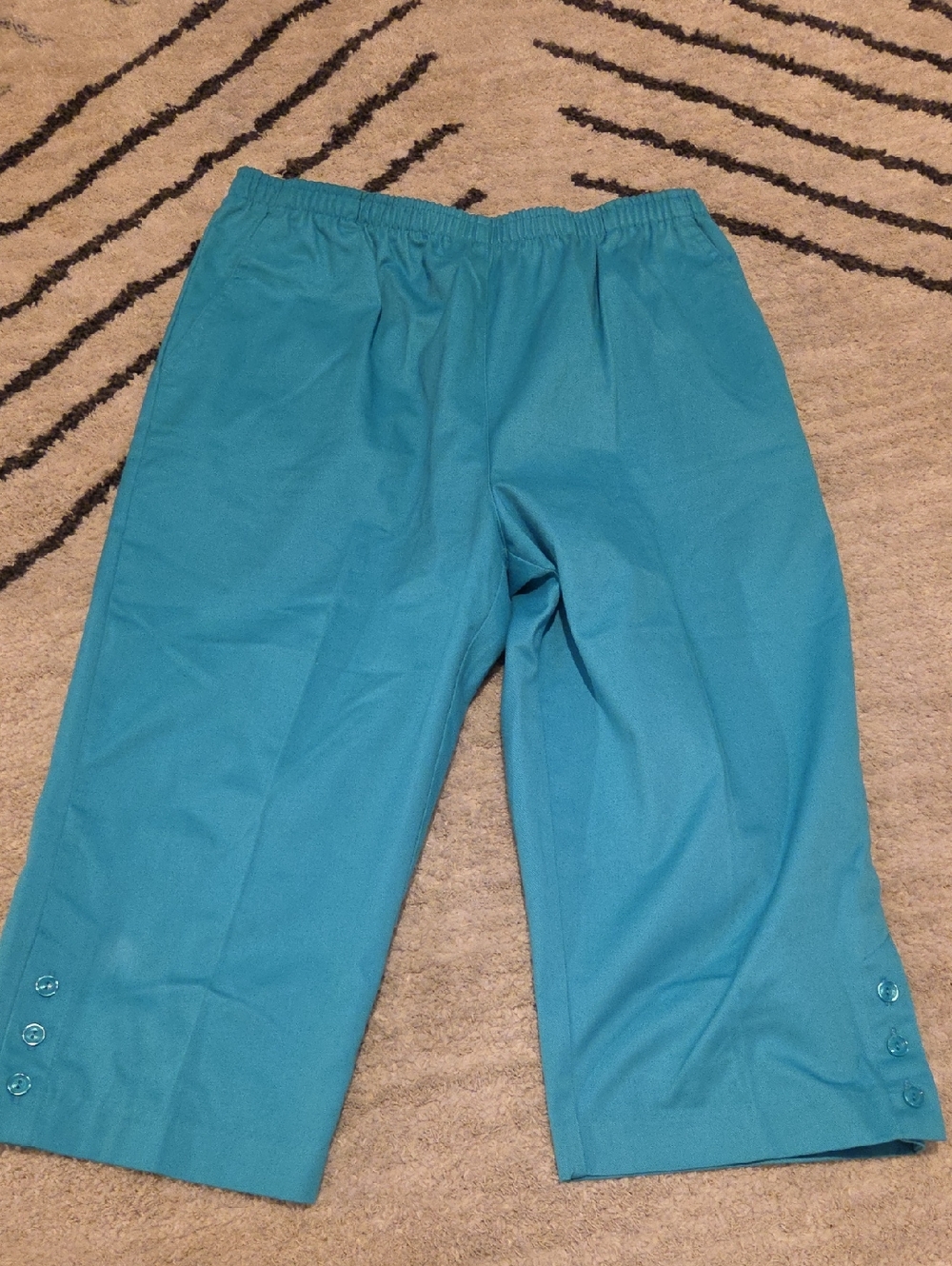Draper's & Damon's Bright Turquoise Elastic Waist Pants